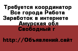 Требуется координатор - Все города Работа » Заработок в интернете   . Амурская обл.,Свободный г.